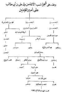 الشيعة الإمامية,الجعفرية,الاثنا عشرية,الإمام الثاني عشر